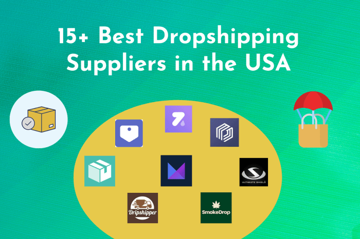 Dropshipping ecommerce
